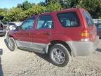 2001 Ford Escape XLS