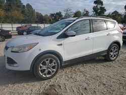 Salvage cars for sale at Hampton, VA auction: 2016 Ford Escape SE