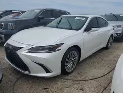 2023 Lexus ES 300H Base en venta en Arcadia, FL