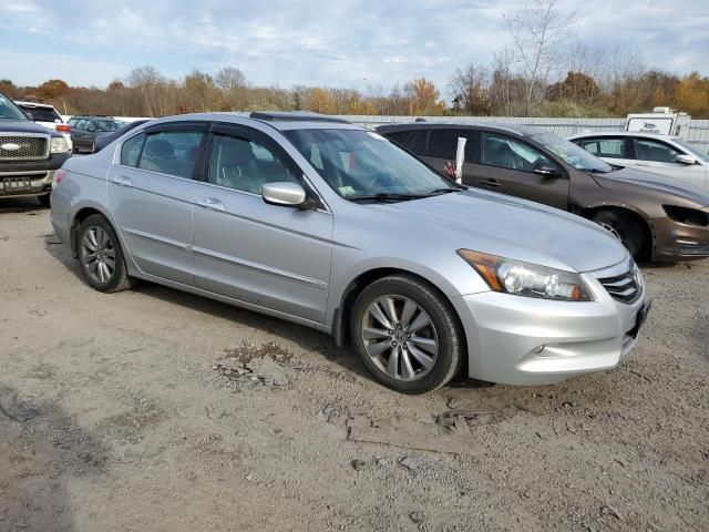 2011 Honda Accord EXL