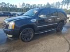 2009 Cadillac Escalade Luxury