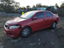 Salvage cars for sale at Baltimore, MD auction: 2010 Toyota Corolla Base