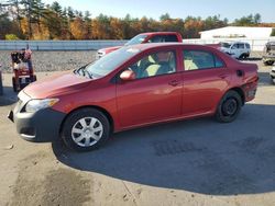 Toyota salvage cars for sale: 2010 Toyota Corolla Base