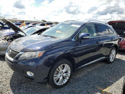 2010 Lexus RX 450H en venta en Riverview, FL