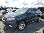 2010 Lexus RX 450H