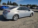 2010 Lexus HS 250H