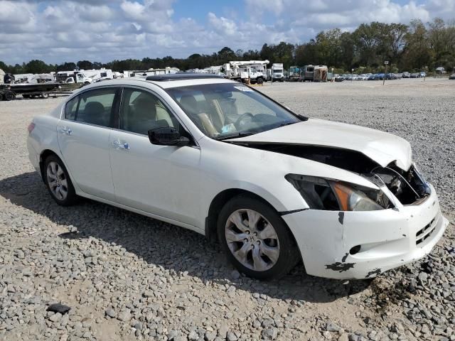 2008 Honda Accord EXL