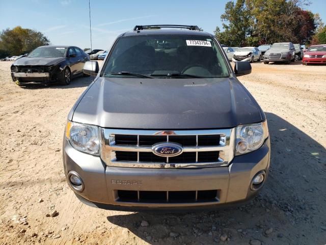 2009 Ford Escape XLT