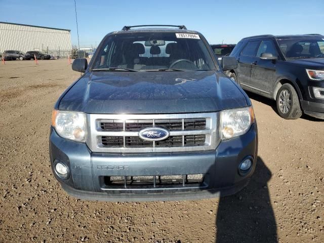 2012 Ford Escape XLT