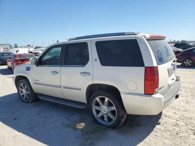 2010 Cadillac Escalade Hybrid