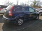 2011 Honda CR-V EXL