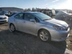 2010 Lexus HS 250H