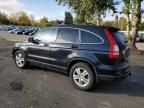 2011 Honda CR-V EXL