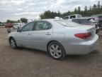 2006 Lexus ES 330