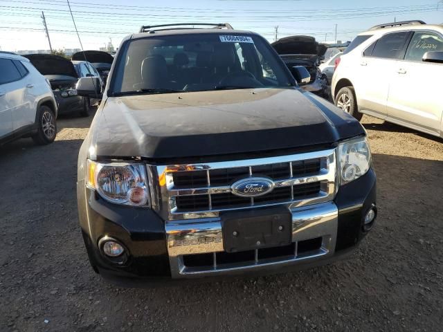 2010 Ford Escape Limited