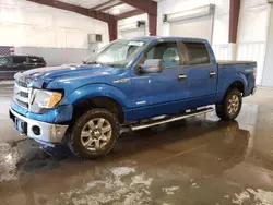 Ford salvage cars for sale: 2014 Ford F150 Supercrew