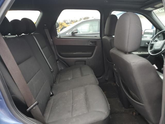 2009 Ford Escape XLT