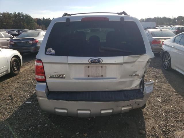 2009 Ford Escape XLT