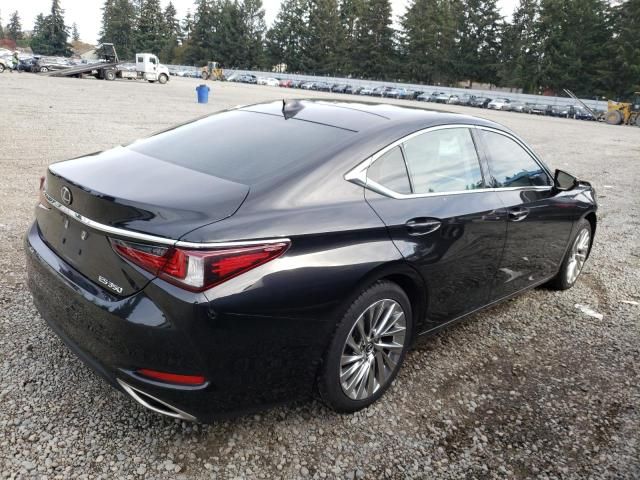 2019 Lexus ES 350