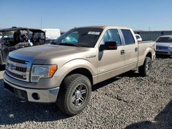 Ford salvage cars for sale: 2013 Ford F150 Supercrew