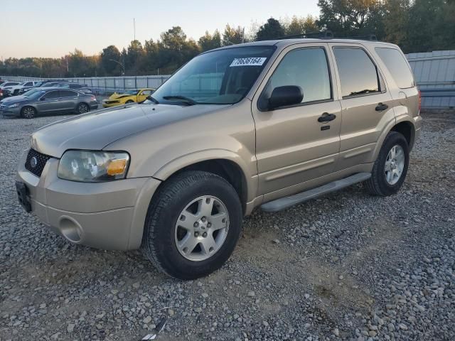 2007 Ford Escape XLT