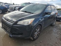 Salvage cars for sale at Arcadia, FL auction: 2014 Ford Escape Titanium