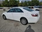 2009 Toyota Camry Hybrid