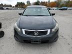 2009 Honda Accord EXL