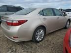 2014 Lexus ES 300H