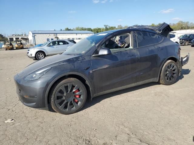 2024 Tesla Model Y