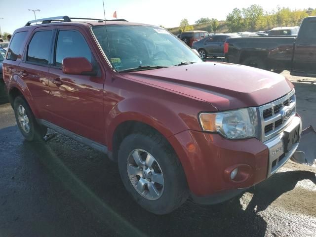 2011 Ford Escape Limited