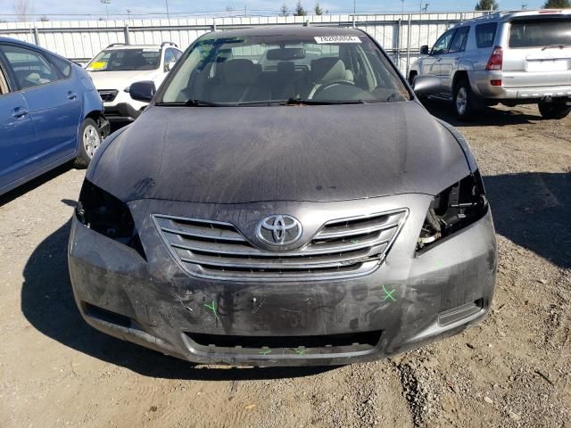 2009 Toyota Camry Hybrid