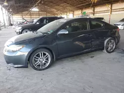 2005 Scion TC en venta en Phoenix, AZ