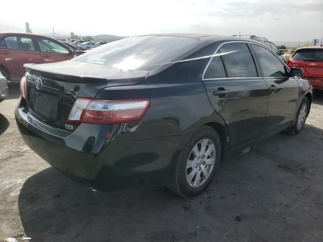 2009 Toyota Camry Hybrid