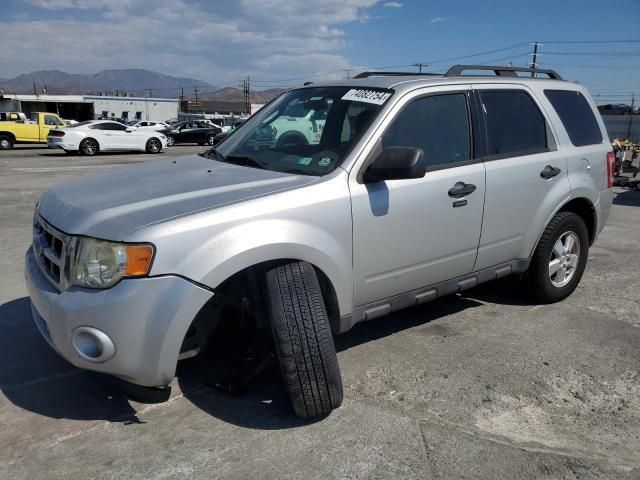 2009 Ford Escape XLT