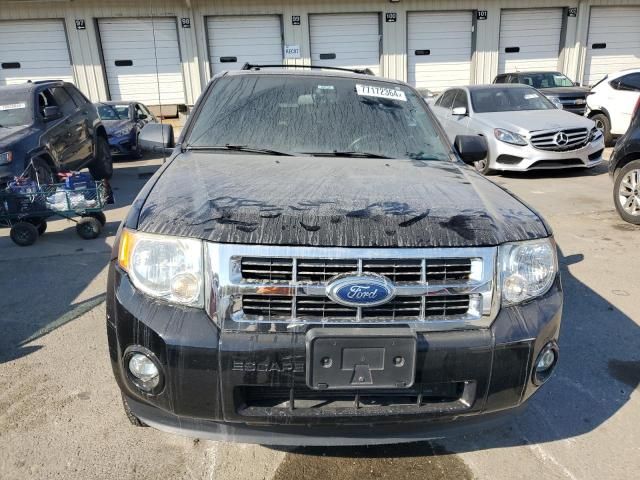 2012 Ford Escape XLT