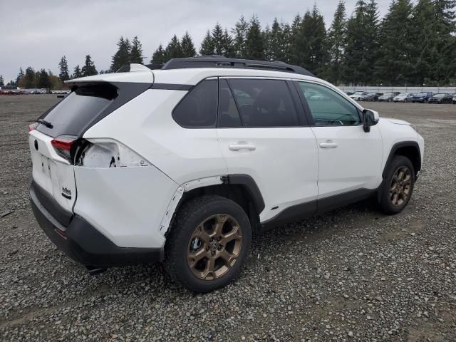 2023 Toyota Rav4 Woodland Edition