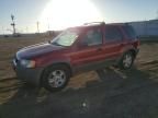 2001 Ford Escape XLT