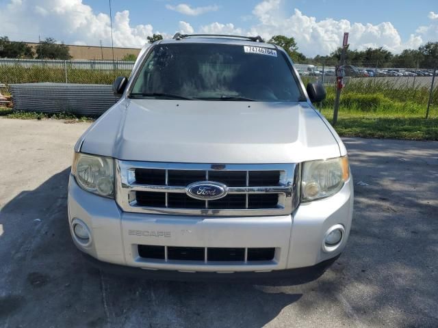 2012 Ford Escape XLT