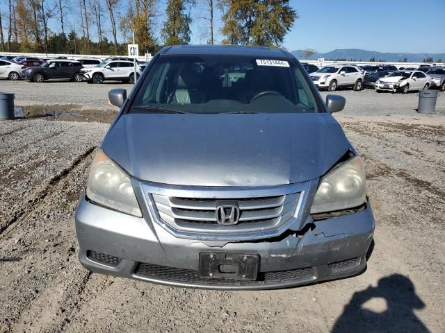 2008 Honda Odyssey EXL