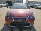 2020 Lexus ES 350