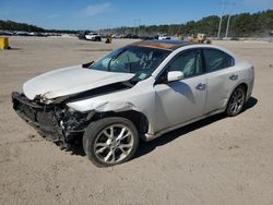 2013 Nissan Maxima S en venta en Greenwell Springs, LA