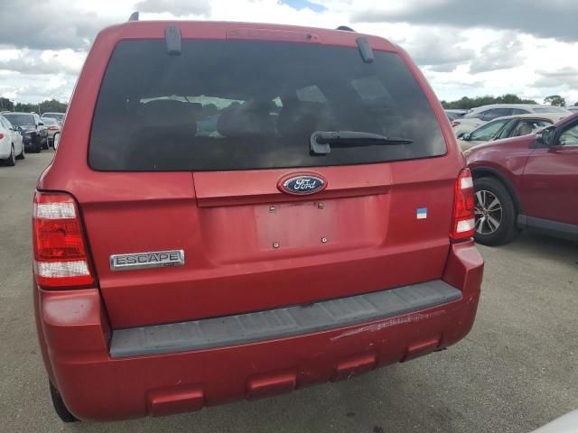 2008 Ford Escape XLT