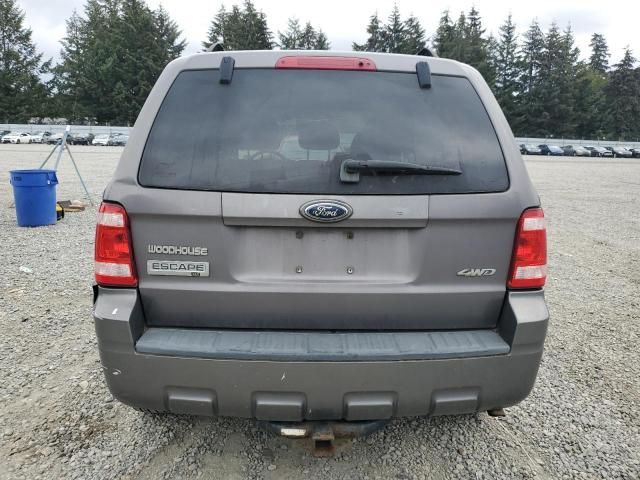 2009 Ford Escape XLT