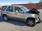 2007 Ford Escape XLS