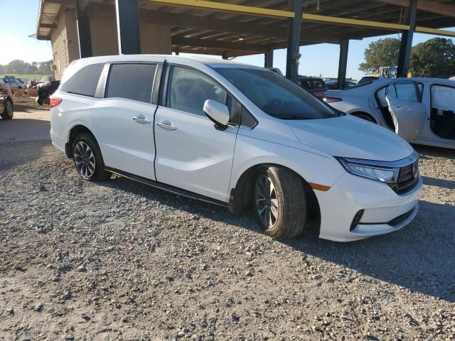 2022 Honda Odyssey EXL