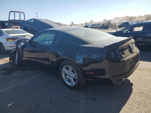 2013 Ford Mustang