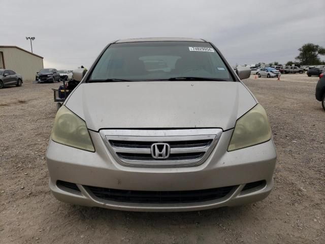 2005 Honda Odyssey EXL