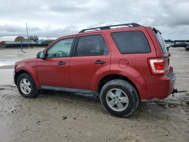 2012 Ford Escape XLT