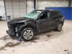 Salvage cars for sale from Copart Chalfont, PA: 2021 Ford Escape SEL